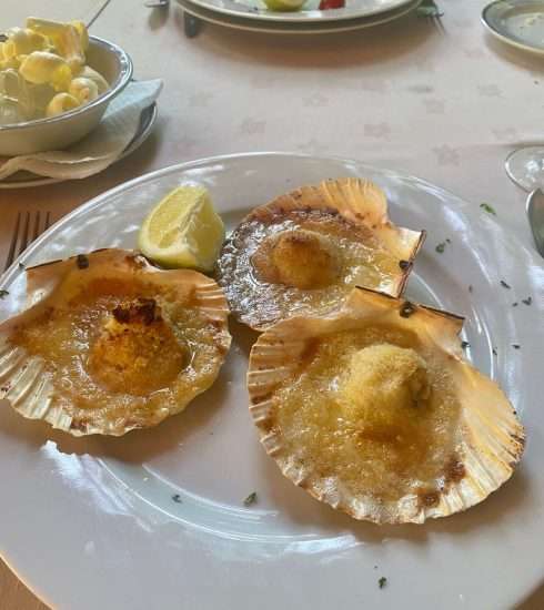 gratinirane školjke recept